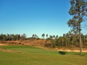 Mammoth Dunes 5th Side Green